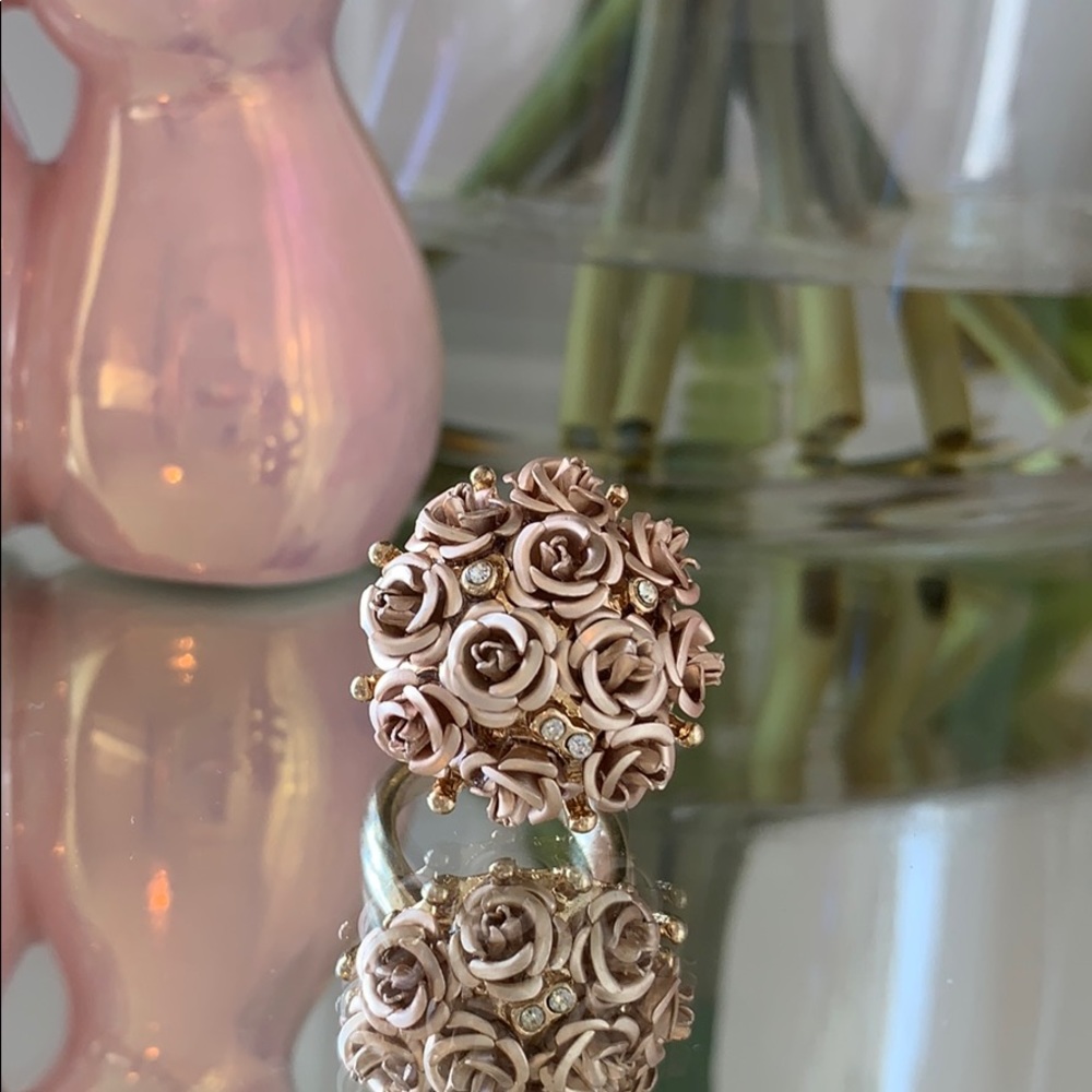 Aldo Rose Ring ✨